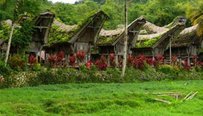 Toraja Traditional House